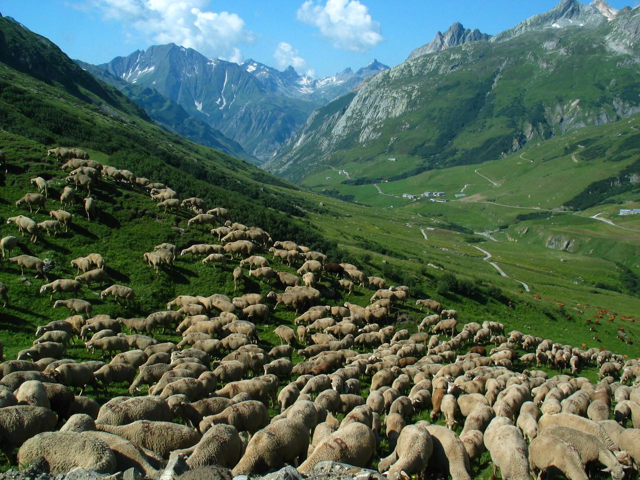 Tour du Mont Blanc