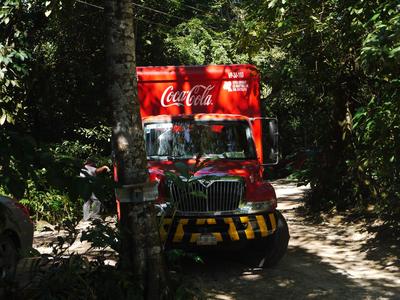 Jungle or not, the Coca-Cola must flow