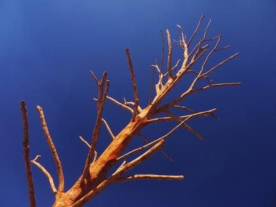 At the centre of the village stands this bare tree-like object. Somebody really resented the foliage, apparently.