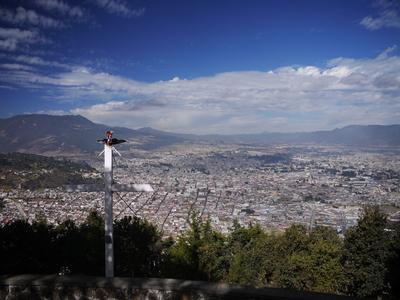 Xela from El Baúl