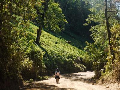 On the road to Laguna Chicabal