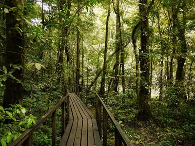 Semuc Champey. It's a jungle out there.