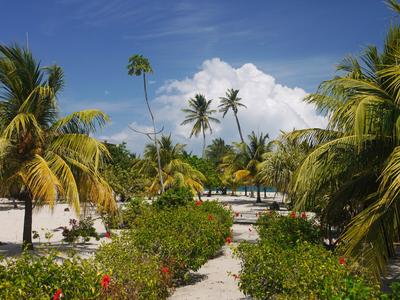 Welcome to Placencia!