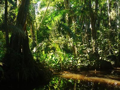 Cockscomb Wildlife Sanctuary