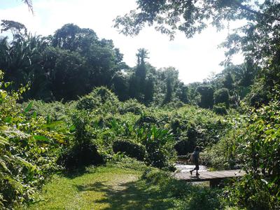 Cockscomb Wildlife Sanctuary