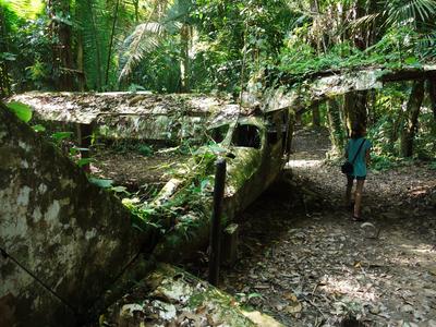 Cockscomb Wildlife Sanctuary: 'the plane wreck'