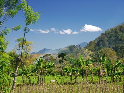 Back road, Los Naranjos