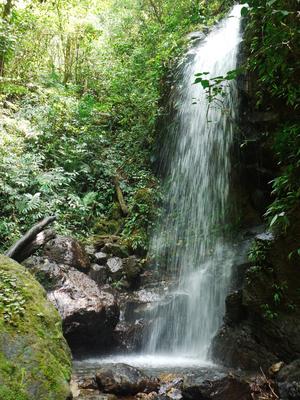 Waterfall, PANACAM