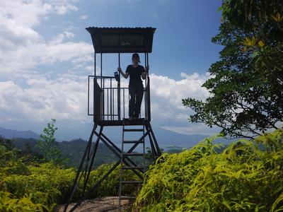 Watchtower, PANACAM