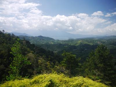 View of Lago de Yojoa from PANACAM