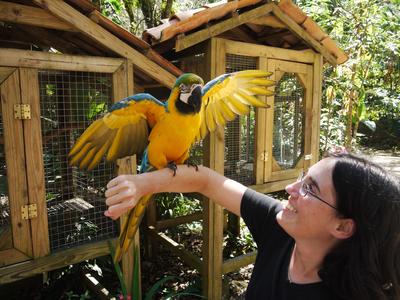 Playing with the guacamayas, Macaw Mountain