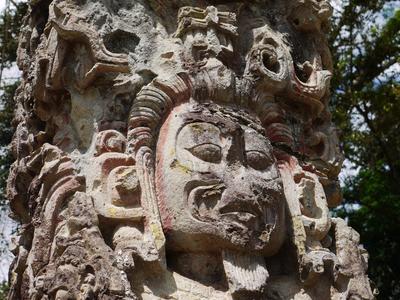 Ruins of Copán. The carvings here by far the most impressive we've seen at any Maya site.