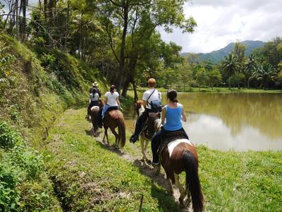 Tilapia ponds, finca El Cisne