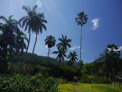 Lancetilla botanical garden, Tela