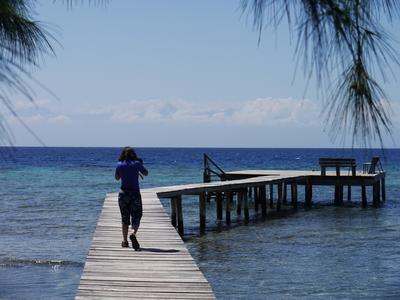 Gone snorkeling, Utila