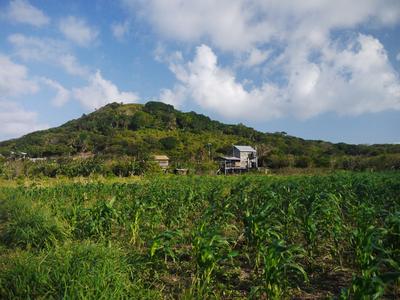 Pumpkin Hill, Utila's highest point (72 m)