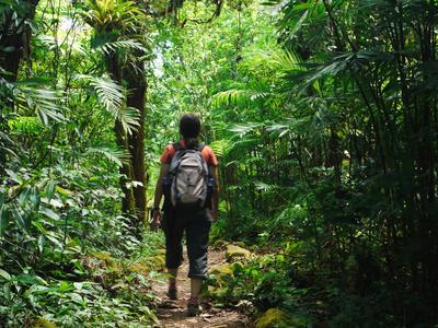 The cloud forest, volcan Mombacho. The cool microclimate was a welcome relief.