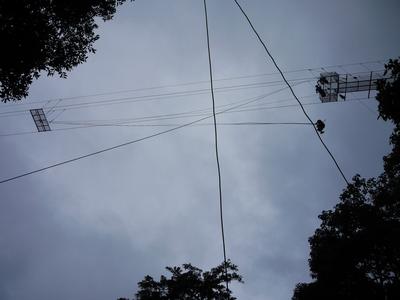 The 'tarzan swing' is almost as scary as a bungy jump