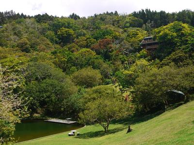 Walking around Monteverde was a pleasure, it's very green and quiet and not even too hot.