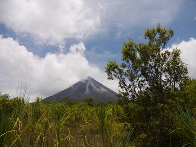 From Arenal we walked to some nearby thermal springs.