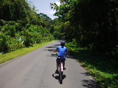 The road between Puerto Viejo and Manzanillo is flat and paved, a pleasure to ride. The biggest hazard is riding into the ditch as you're spotting monkeys and toucans up in the trees.