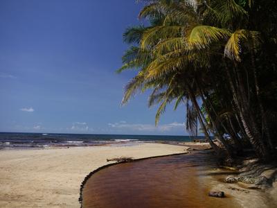 Manzanillo