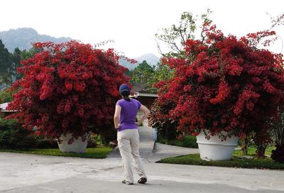 'Mi jardin es su jardin', a huge private garden open to the public. Entrance is free.