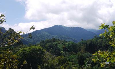 Boquete countryside, on the way back from the garden