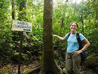 We went searching for El Valle's famous 'square trees'. It takes some imagination to see their square shape, so it's a good thing they put a sign up.