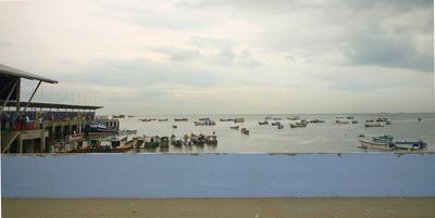 Panama City's fishing fleet