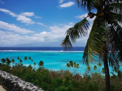 Toatea lookout, northeastern Moorea