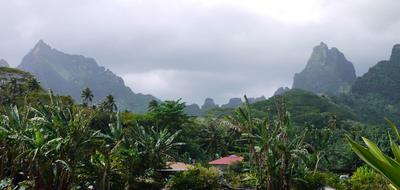 South coast, Moorea