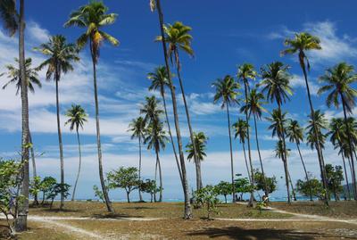 Temae beach, Moorea