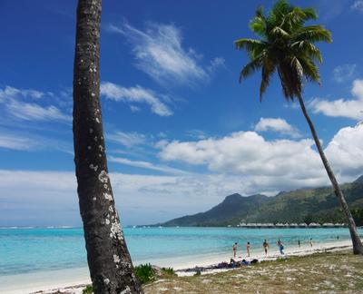 Temae beach and the Sofitel Moorea