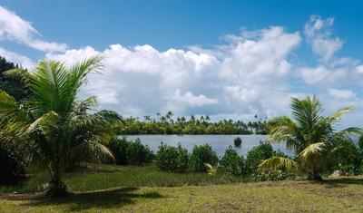 Roadside Raiatea