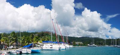 Apooiti marina, Raiatea