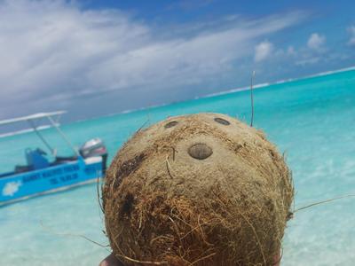 Playing with our food, Maupiti lagoon