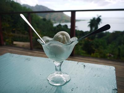 Artisan ice cream at the tropical garden. Coconut flavour is meh. Tiare flavour (made with the petals of the national flower) is amazing.