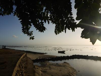 The beach at the Hotel Hibiscus, low tide