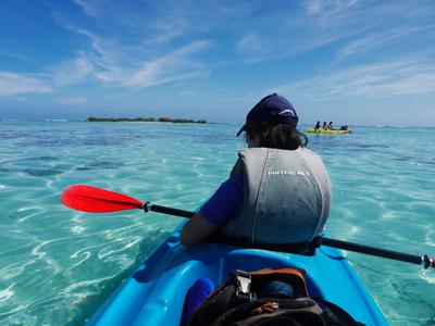 At Tipaniers beach you can rent a kayak for 1000 XPF ($12) and paddle a short distance to swim with sharks and stingrays. Easily the best deal on the island (except maybe swimming to the same spot, which is totally doable)