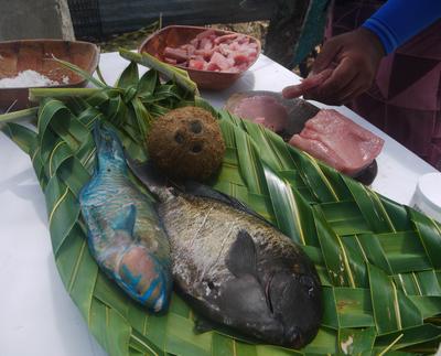 Lunch: reef fish (one surgeonfish, one unknown), tuna, coconut, breadfruit, coconut bread, slaw.