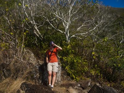 It was sunny, and climbing in the tropics is sweaty work