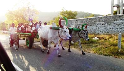 Tamil Nadu school bus