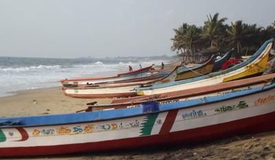 More fishing boats