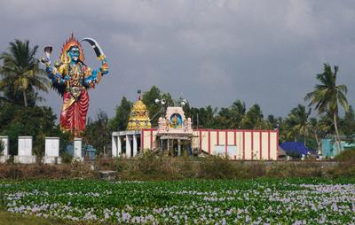 The godess Kali watches over a flower patch.