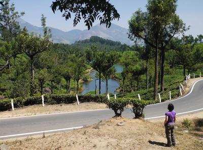 Up high in Munnar in the Western Ghats, 