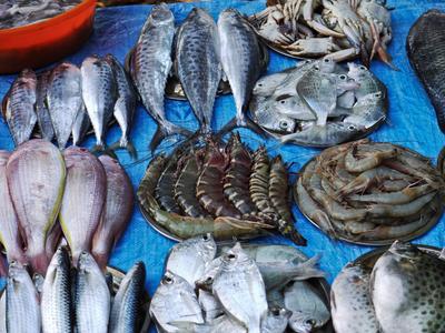 Fish market at the port of Kochi. The catch can be grilled and served for you right there. Hygiene is a bit questionable.