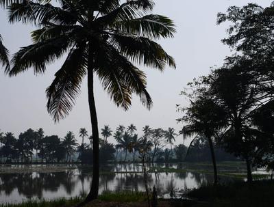 Roadside in the backwaters, Kumarakom