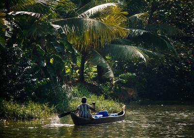 We liked the backwaters trip enough to follow up with an extended visit the next day.