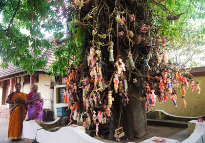 After visiting one massive temple after another in Tamil Nadu, we almost didn't bother with the little neighbourhood temple in Varkala. In the end, we're glad we went - it is 2,000 years old, very lively, quirky, and arguably more atmospheric than many of the showpieces further east.